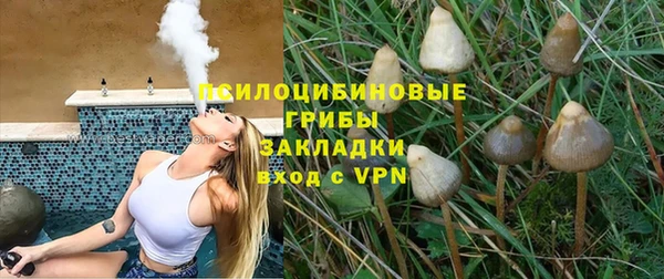 крисы Бронницы
