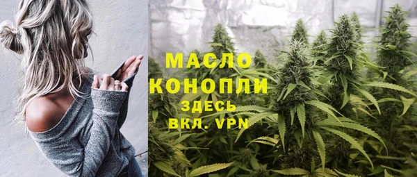 крисы Бронницы