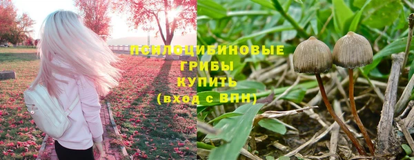 альфа пвп Бородино