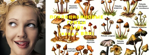 таблы Верхний Тагил