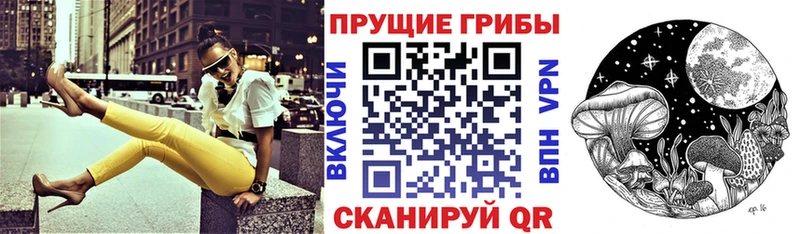 Псилоцибиновые грибы Psilocybine cubensis Дно